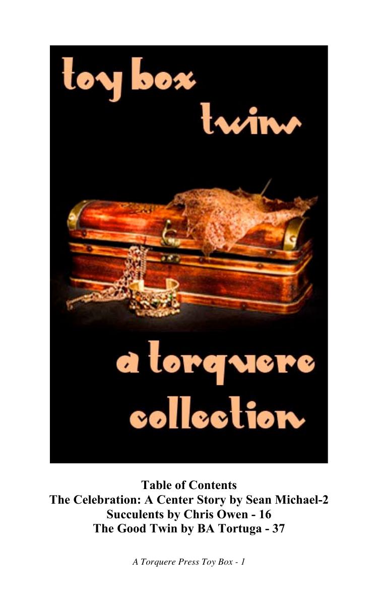 Toy Box: Twins by Anthology