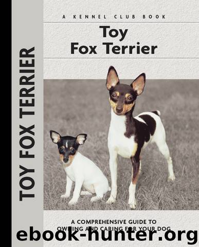 Toy Fox Terrier by Richard G. Beauchamp