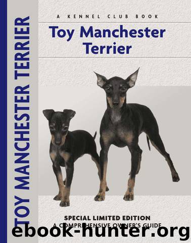 Toy Manchester Terrier by Peter Brown