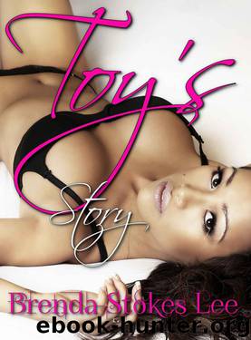Toy's Story by Lee Brenda Stokes