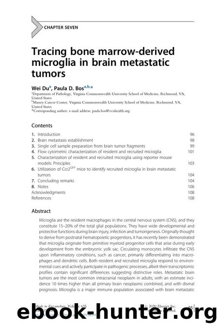 Tracing bone marrow-derived microglia in brain metastatic tumors by Wei Du & Paula D. Bos