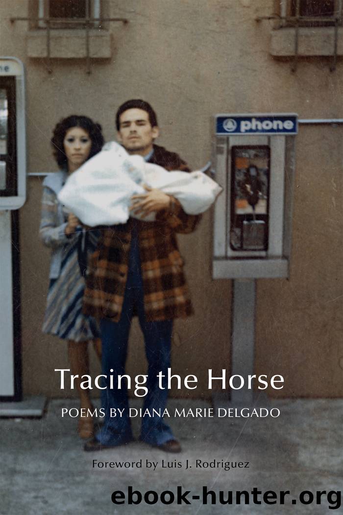 Tracing the Horse by Diana Marie Delgado