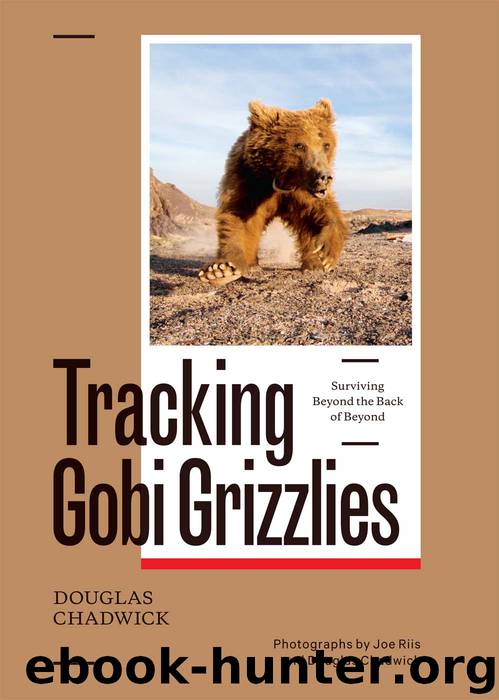 Tracking Gobi Grizzlies by Douglas H. Chadwick