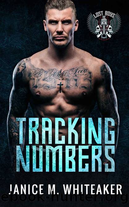 Tracking Numbers: A Bad Boy Protector Romance (Lost Boys Book 1) by Janice M. Whiteaker