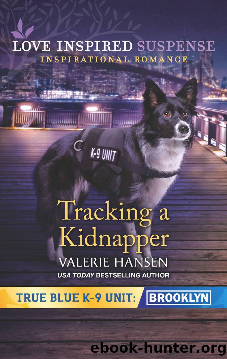 Tracking a Kidnapper by Valerie Hansen