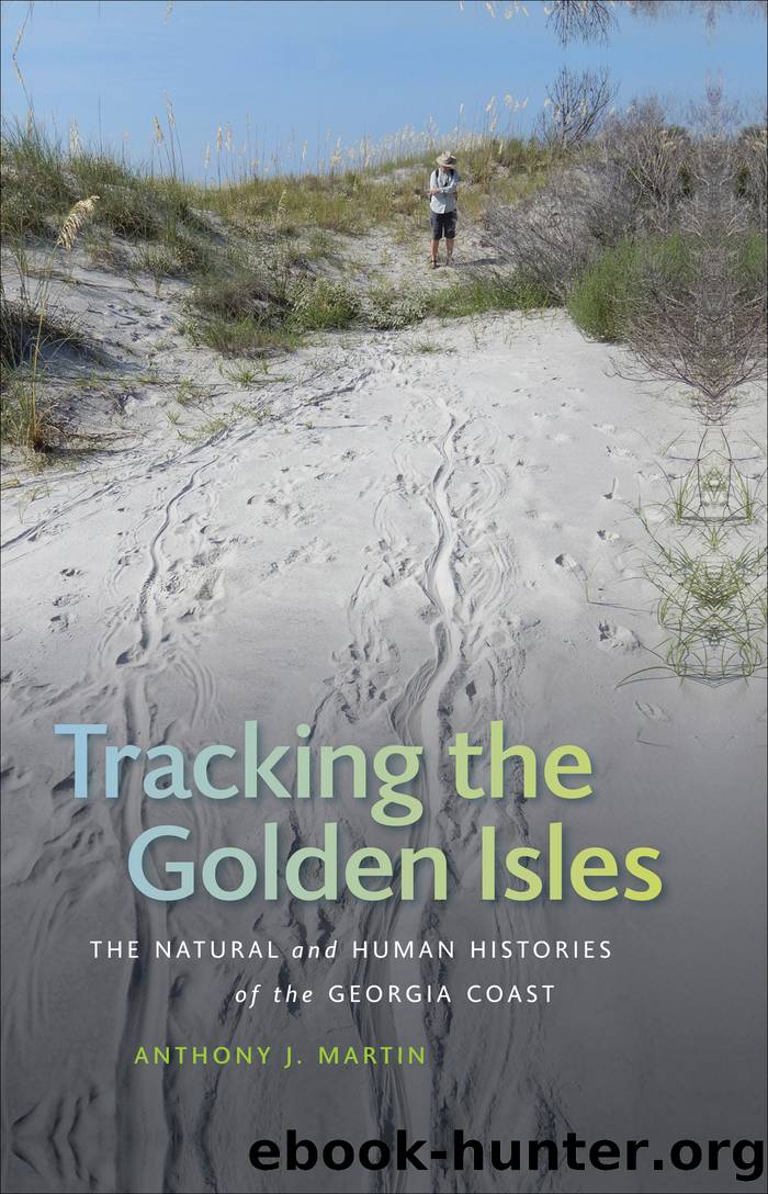 Tracking the Golden Isles by Anthony J. Martin