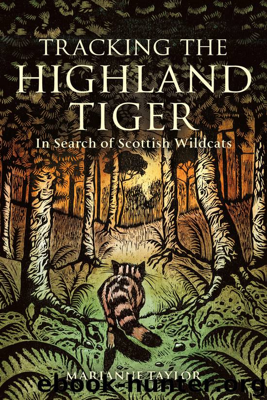 Tracking the Highland Tiger by Marianne Taylor