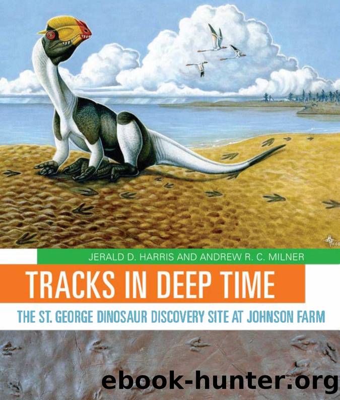 Tracks in Deep Time : The St. George Dinosaur Discovery Site at Johnson Farm by Jerald D. Harris; Andrew R. C. Milner