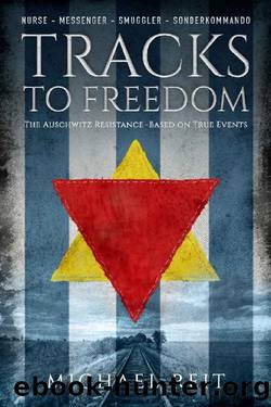 Tracks to Freedom: A gut-wrenching and gripping WW2 historical fiction novel (Beyond the Tracks) by Michael Reit