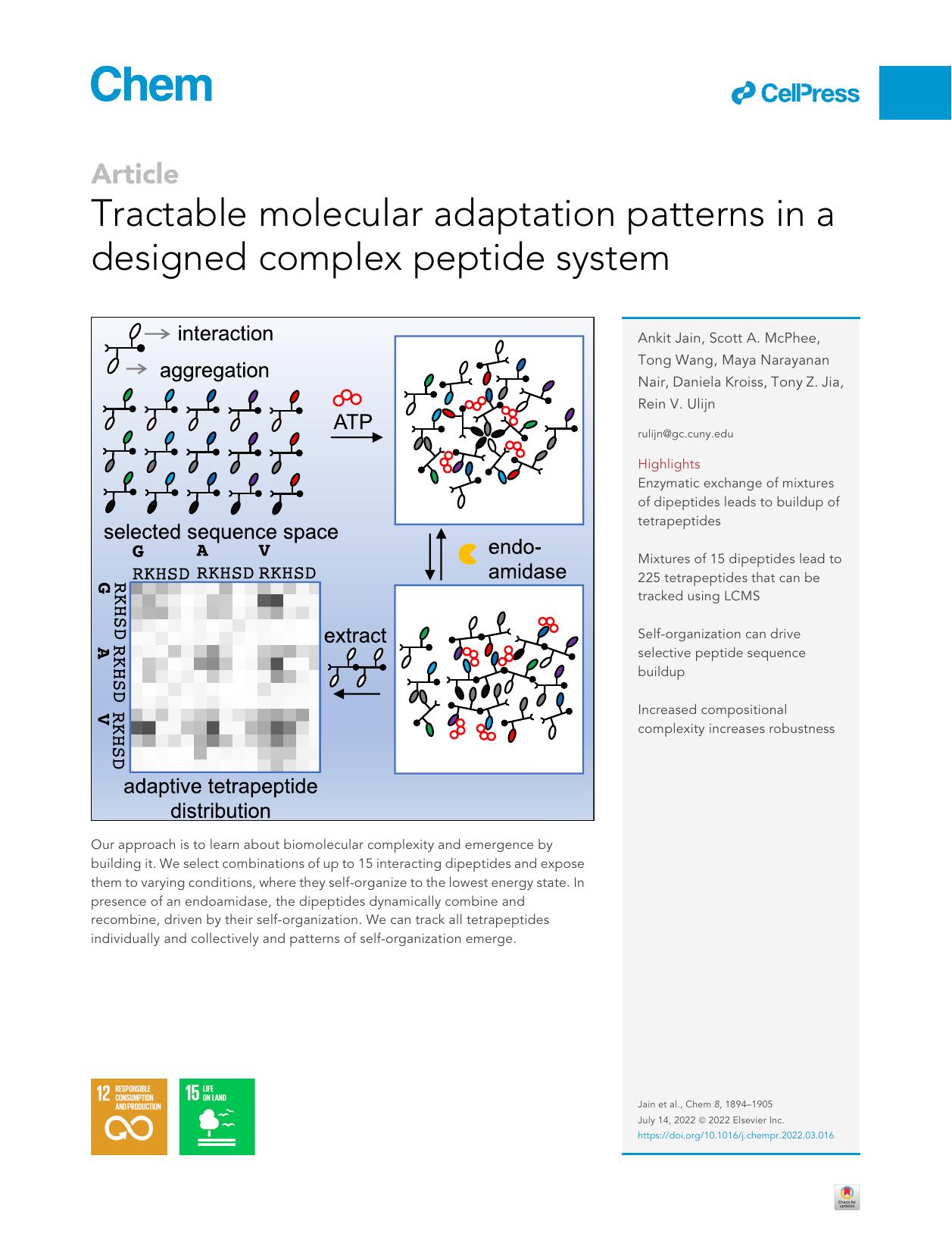 Tractable molecular adaptation patterns in a designed complex peptide system by unknow