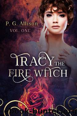 Tracy the Fire Witch by P G Allison