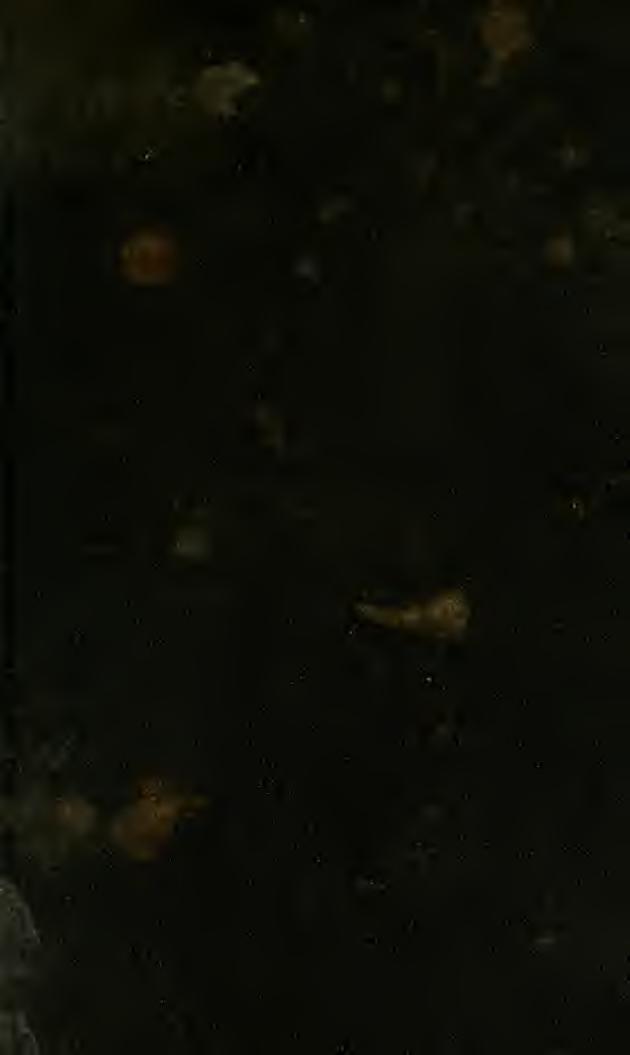 Trade "secrets" and private recipes : a collection of recipes, processes and formulae, that have been offered for sale by various persons at prices ranging from twenty-five cents t by Phin John 1830-1913