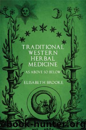Traditional Western Herbal Medicine by Elisabeth Brooke