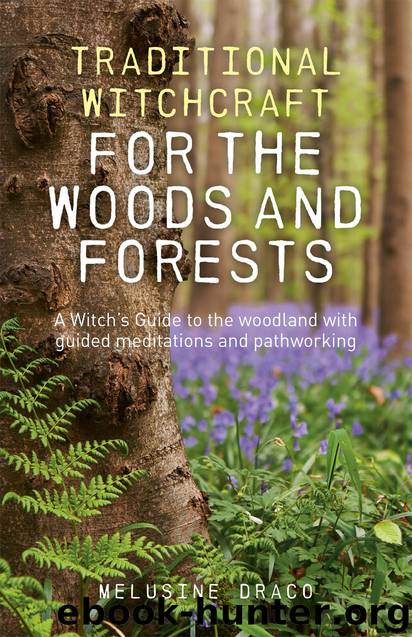 Traditional Witchcraft for the Woods and Forests by Melusine Draco