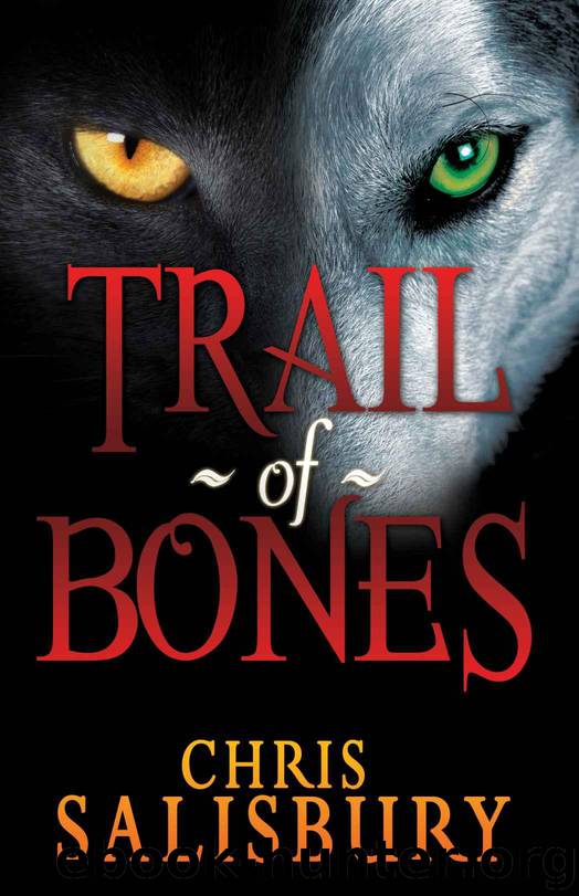 Trail of Bones: A Young Adult Fantasy Novel (An Epic Fantasy Adventure For Any Family) by Salisbury Chris