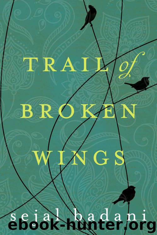 Trail of Broken Wings by Badani Sejal