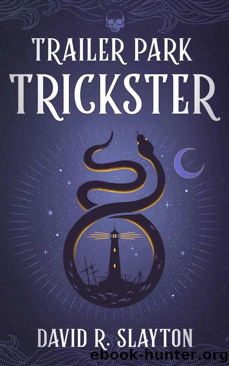 Trailer Park Trickster by David R. Slayton