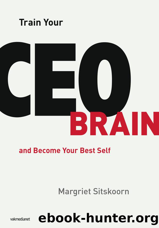 Train Your CEO Brain by Sitskoorn Margriet;