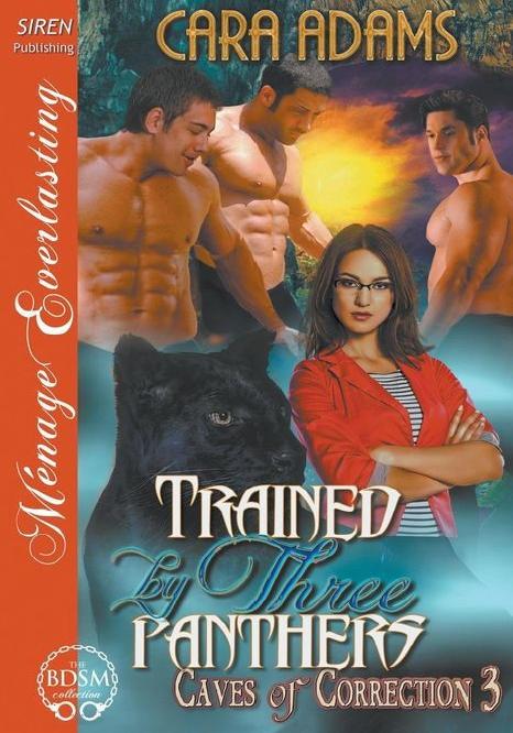 Trained by Three Panthers [Caves of Correction 3] by Cara Adams
