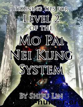 Training Tips for Level 2 of the Mo Pai Nei Kung System by Shifu Lin