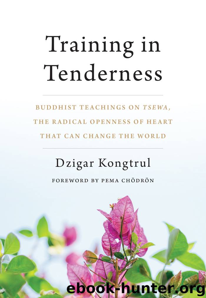 Training in Tenderness by Dzigar Kongtrul