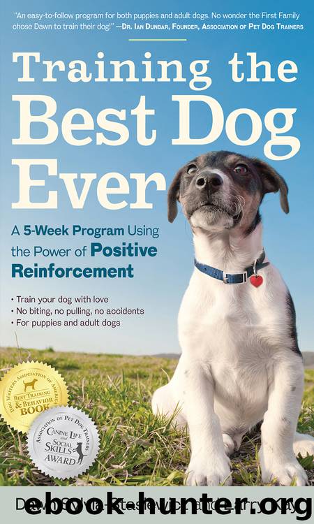 Training the Best Dog Ever by Dawn Sylvia-Stasiewicz