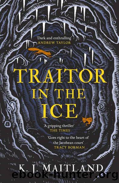 Traitor in the Ice by K. J. Maitland