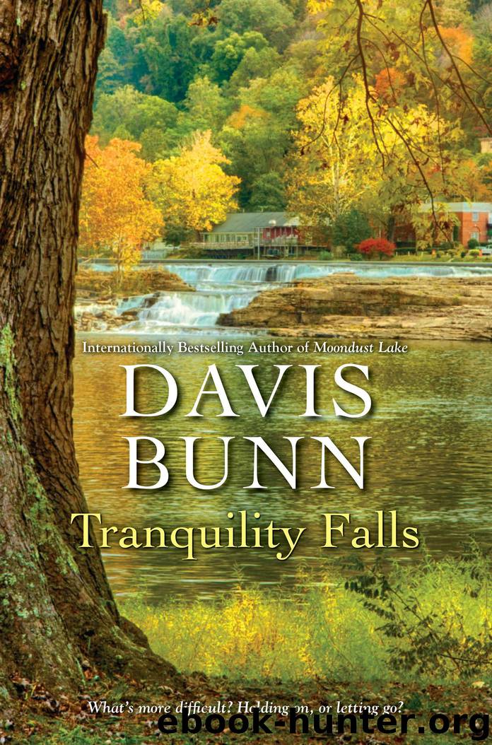 Tranquility Falls by Davis Bunn