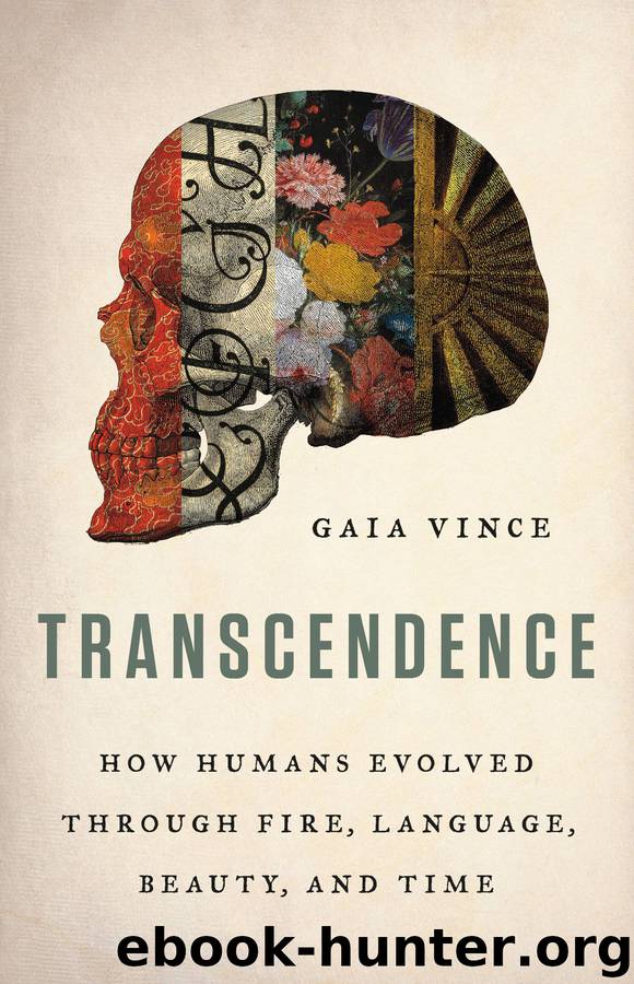 transcendence by gaia vince