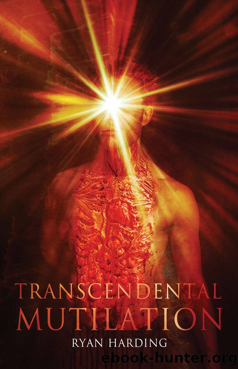 Transcendental Mutilation by Ryan Harding