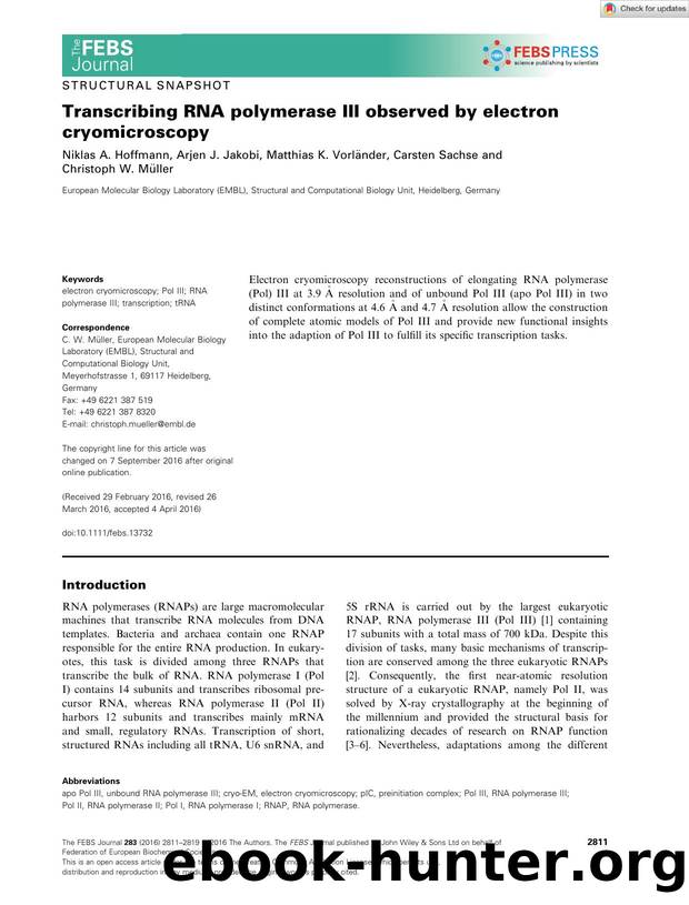 Transcribing RNA polymerase III observed by electron cryomicroscopy by Unknown