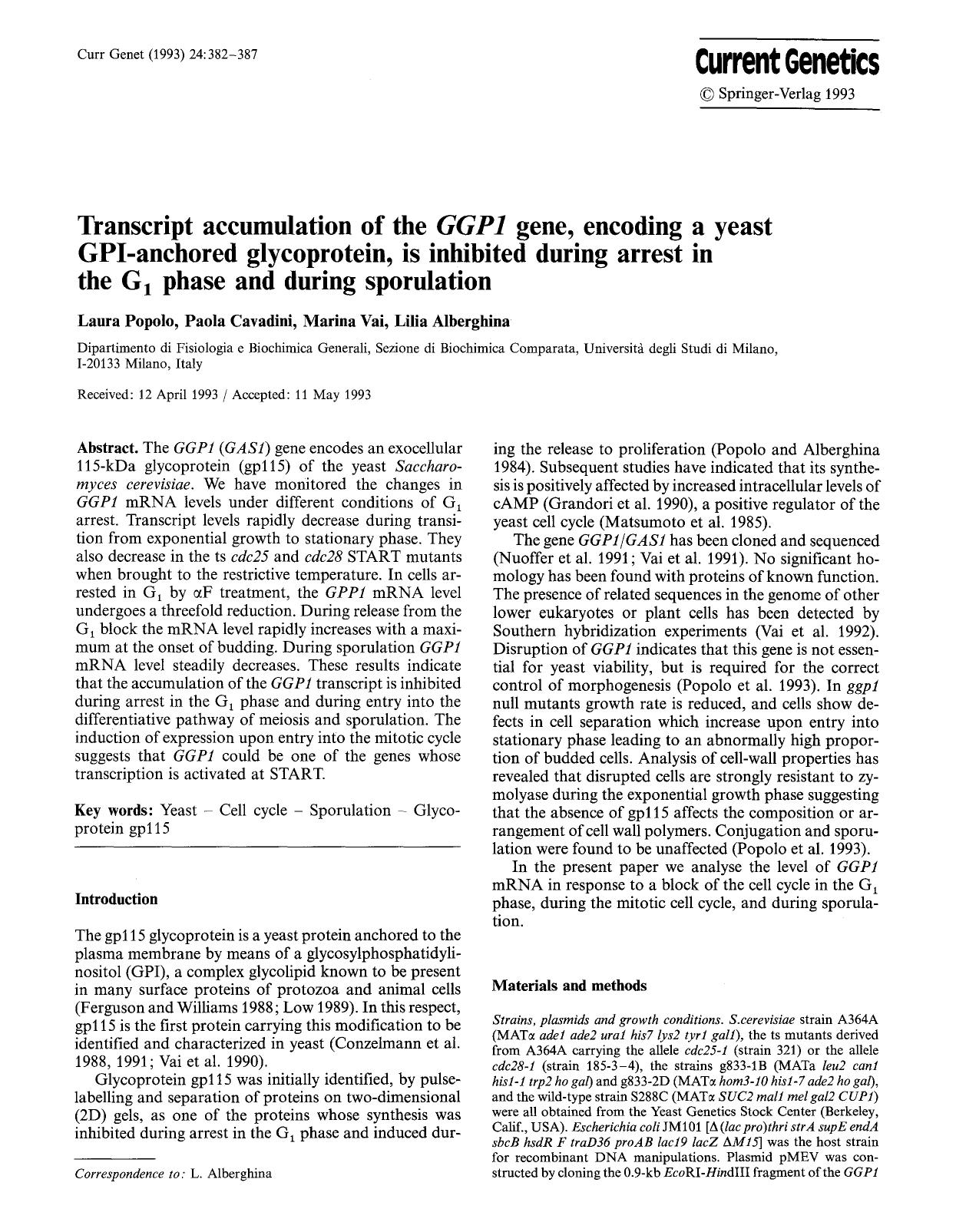 Transcript accumulation of the <Emphasis Type="Italic">GGP1<Emphasis> gene, encoding a yeast GPI-anchored glycoprotein, is inhibited during arrest in the G<Subscript>1<Subscript> p by Unknown