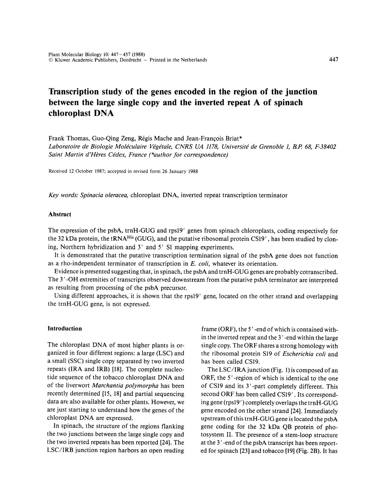 Transcription study of the genes encoded in the region of the junction between the large single copy and the inverted repeat A of spinach chloroplast DNA by Unknown