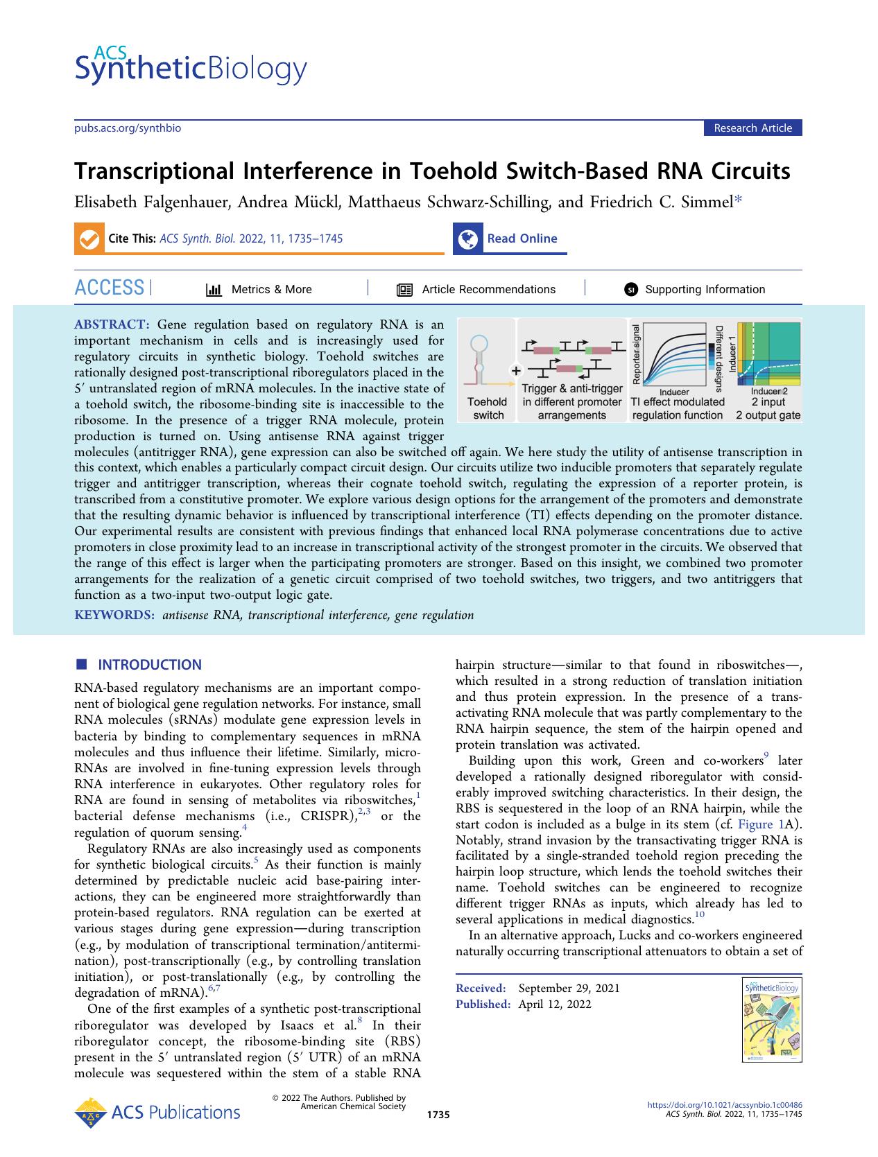 Transcriptional Interference in Toehold Switch-Based RNA Circuits by Elisabeth Falgenhauer Andrea Mückl Matthaeus Schwarz-Schilling and Friedrich C. Simmel