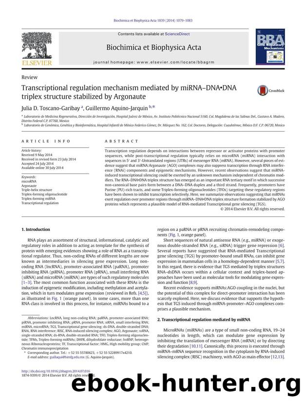 Transcriptional regulation mechanism mediated by miRNAâDNAâ¢DNA triplex structure stabilized by Argonaute by Julia D. Toscano-Garibay & Guillermo Aquino-Jarquin