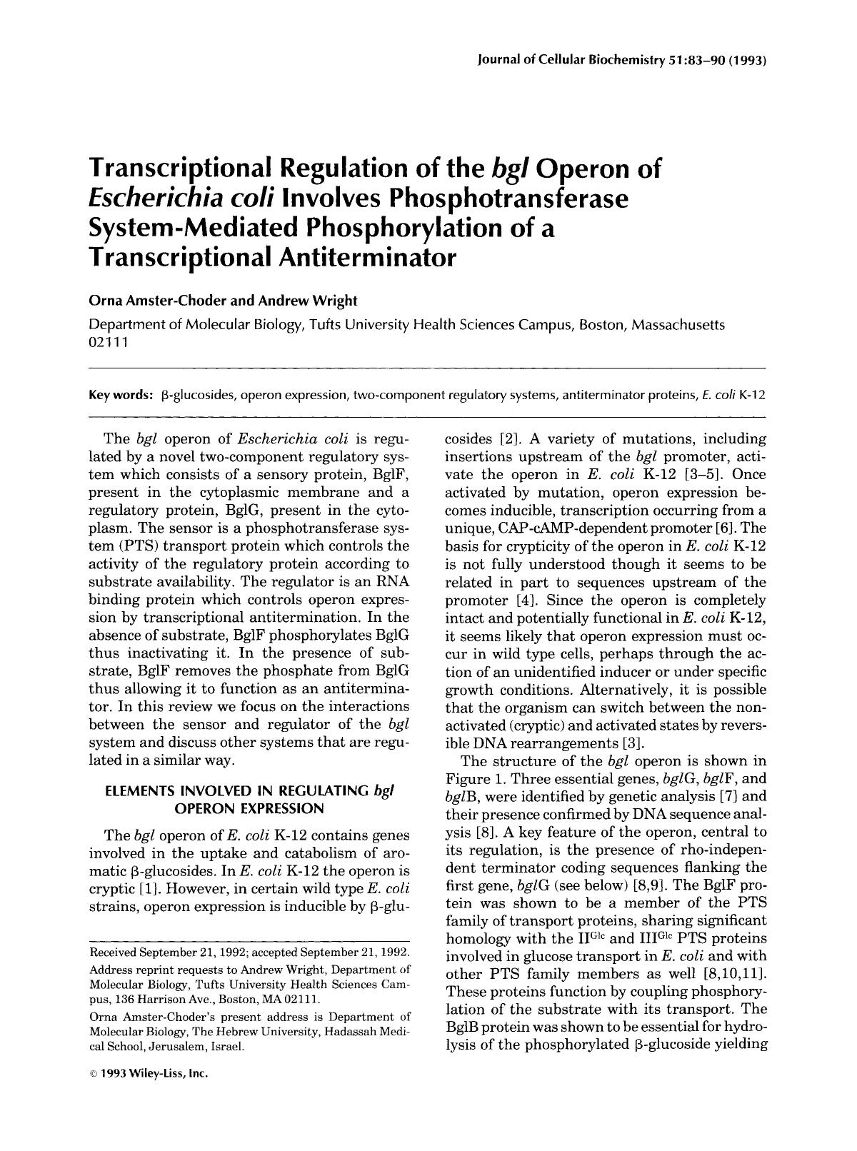 Transcriptional regulation of the bgl operon of Escherichia coli involves phosphotransferase system-mediated phosphorylation of a transcriptional antiterminator by Unknown