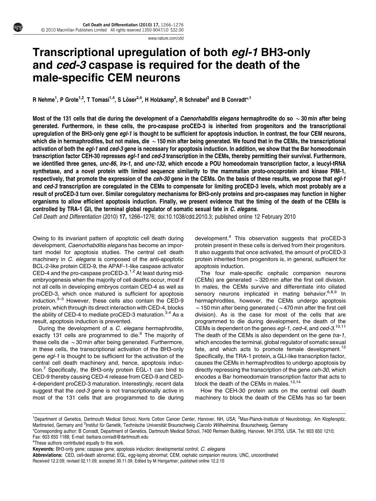 Transcriptional upregulation of both egl-1 BH3-only and ced-3 caspase is required for the death of the male-specific CEM neurons by R Nehme & P Grote & T Tomasi & S L&&ouml;ser & H Holzkamp & R Schnabel & B Conradt