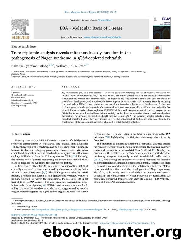 Transcriptomic analysis reveals mitochondrial dysfunction in the pathogenesis of Nager syndrome in sf3b4 -depleted zebrafish by Zulvikar Syambani Ulhaq & William Ka Fai Tse