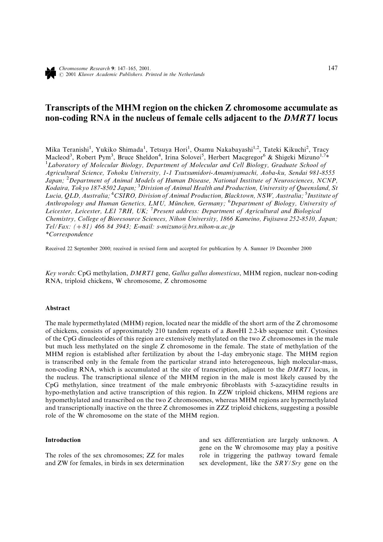 Transcripts of the MHM region on the chicken Z chromosome accumulate as non-coding RNA in the nucleus of female cells adjacent to the DMRT1 locus by Unknown