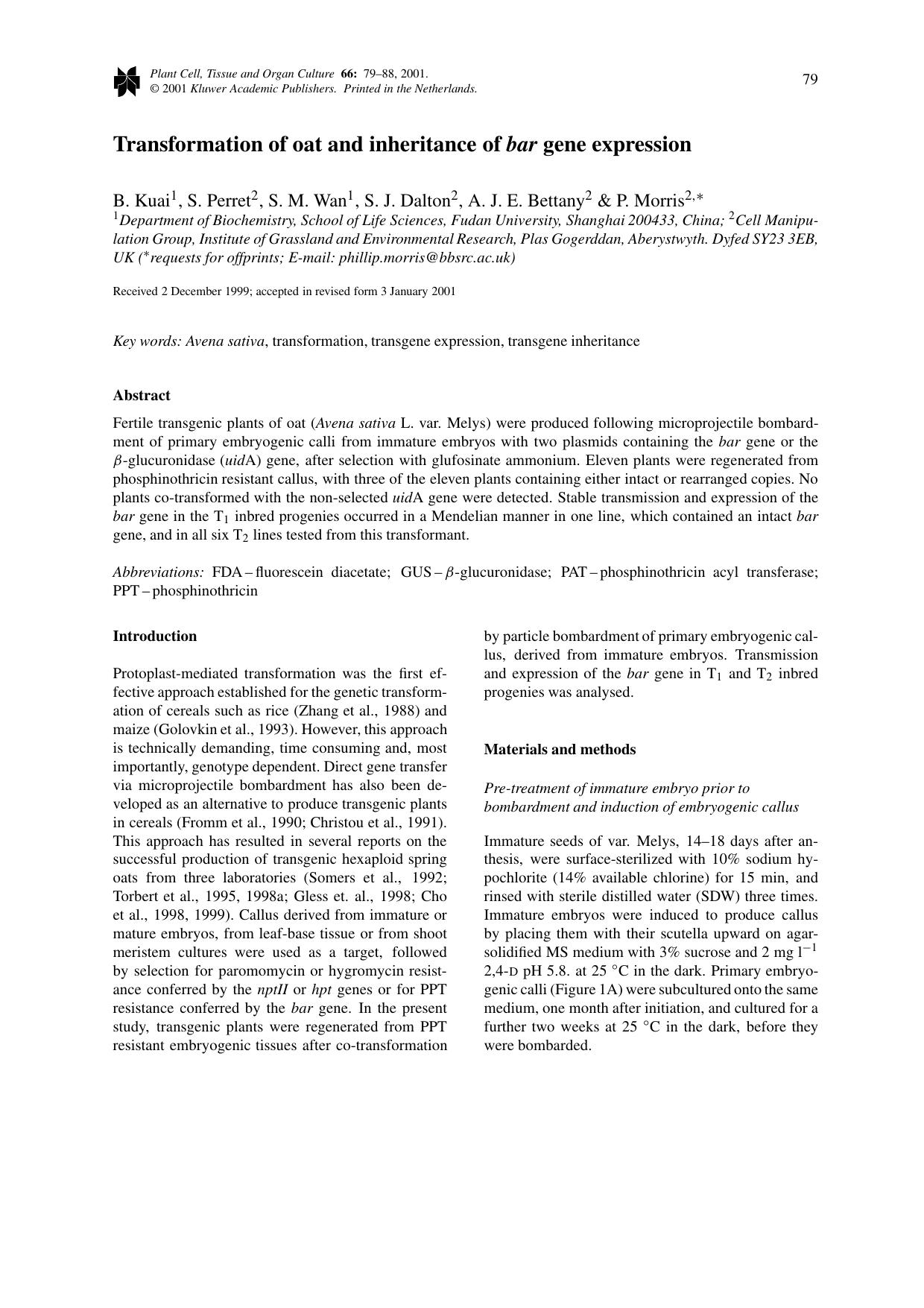 Transformation of oat and inheritance of bar gene expression by Unknown
