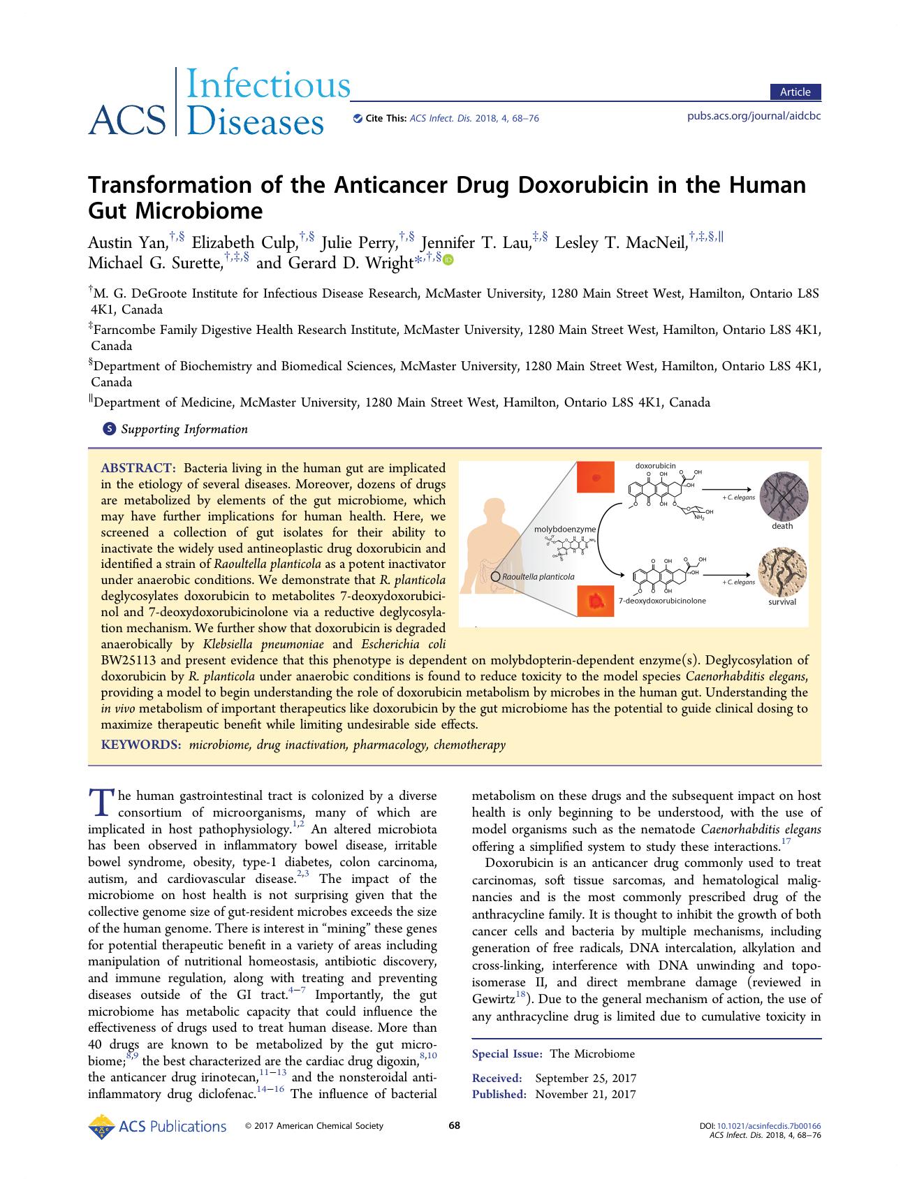 Transformation of the Anticancer Drug Doxorubicin in the Human Gut Microbiome by unknow
