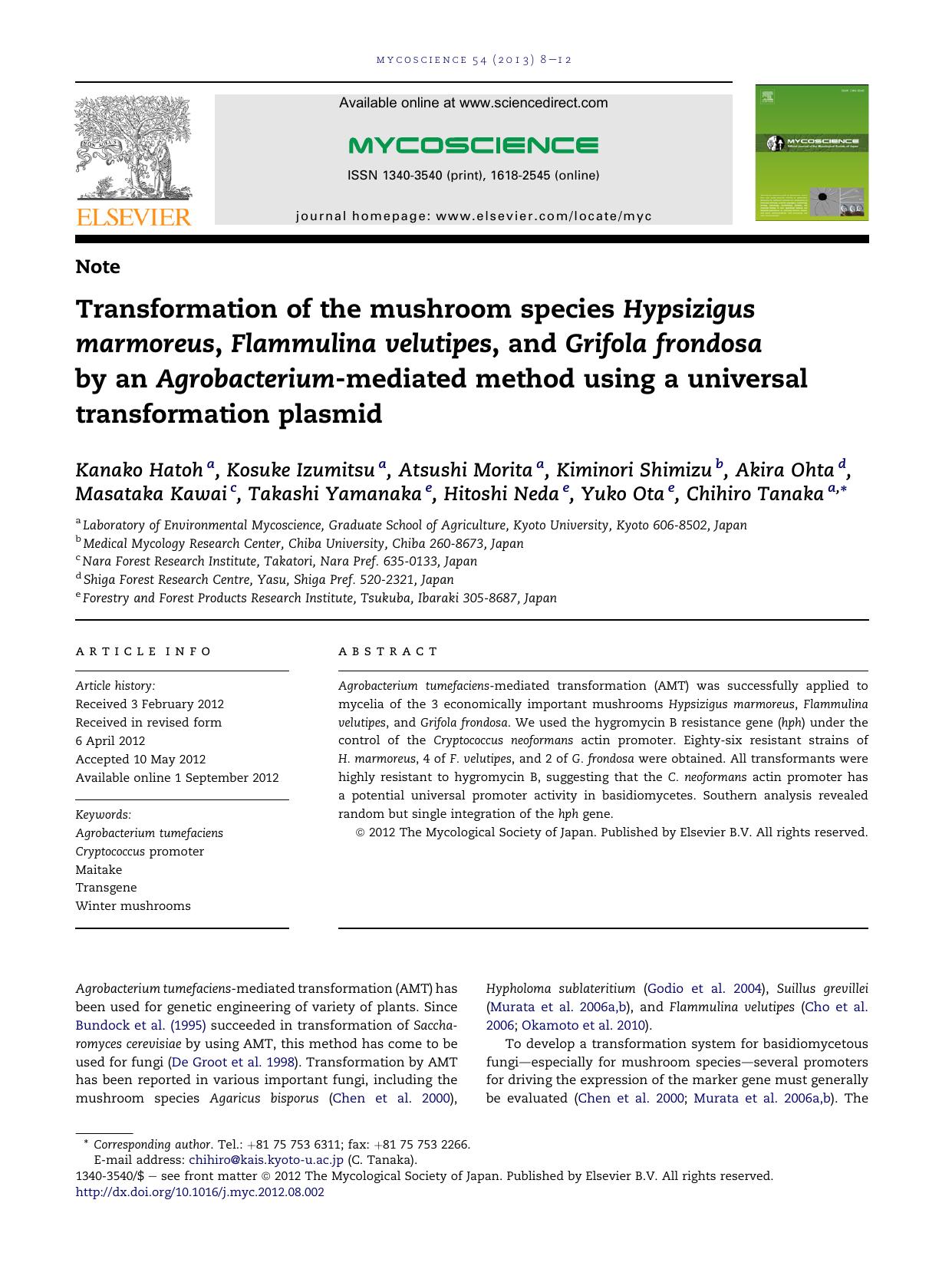 Transformation of the mushroom species Hypsizigus marmoreus, Flammulina velutipes, and Grifola frondosa by an Agrobacterium-mediated method using a universal transformation plasmid by unknow