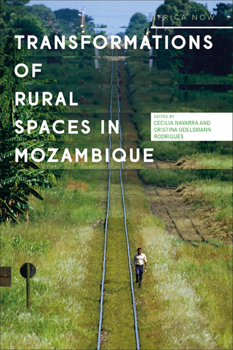 Transformations of Rural Spaces in Mozambique by Cecilia Navarra; Cristina Udelsmann Rodrigues (editors)