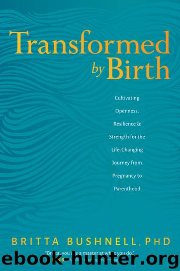 Transformed by Birth by Britta Bushnell