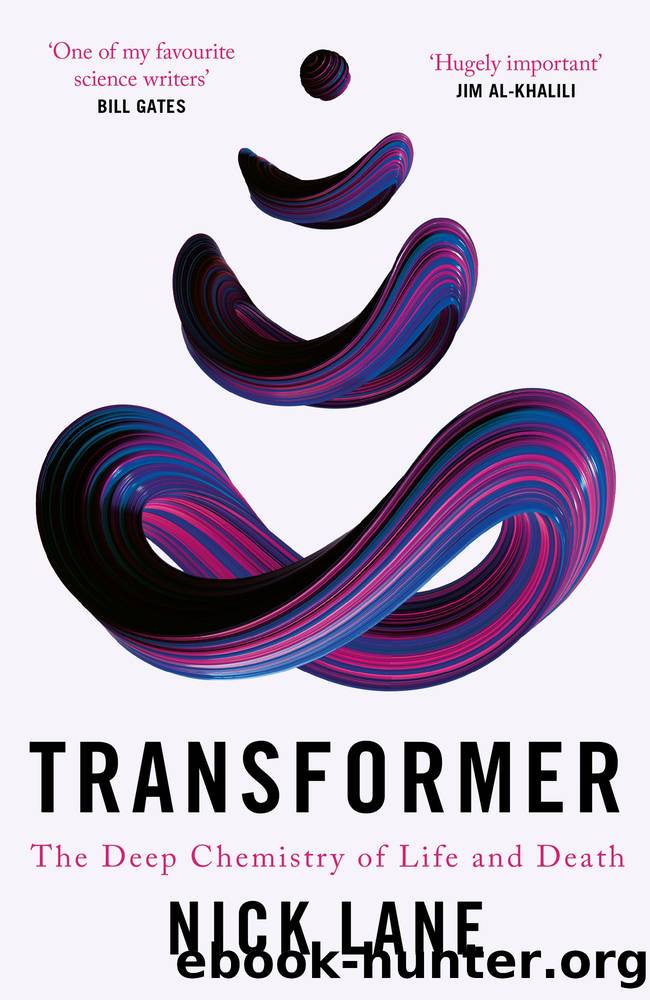 Transformer by Nick Lane