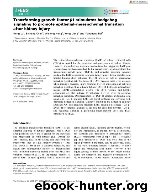Transforming growth factorâÎ²1 stimulates hedgehog signaling to promote epithelialâmesenchymal transition after kidney injury by Unknown
