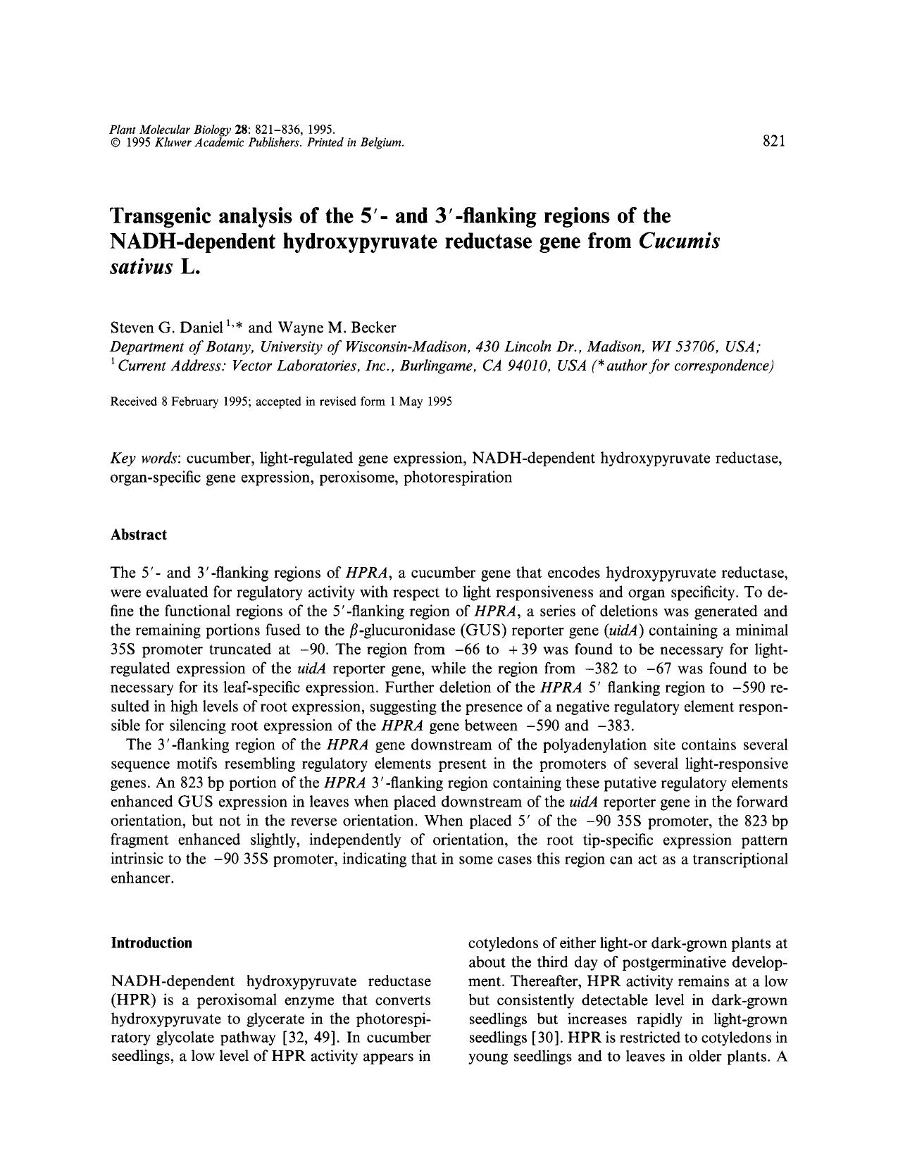 Transgenic analysis of the 5&#x2032;- and 3&#x2032;-flanking regions of the NADH-dependent hydroxypyruvate reductase gene from <Emphasis Type="Italic">Cucumis sativus <Emphasis> L. by Unknown