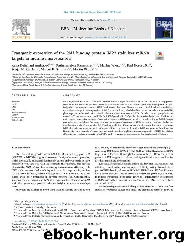 Transgenic expression of the RNA binding protein IMP2 stabilizes miRNA targets in murine microsteatosis by unknow