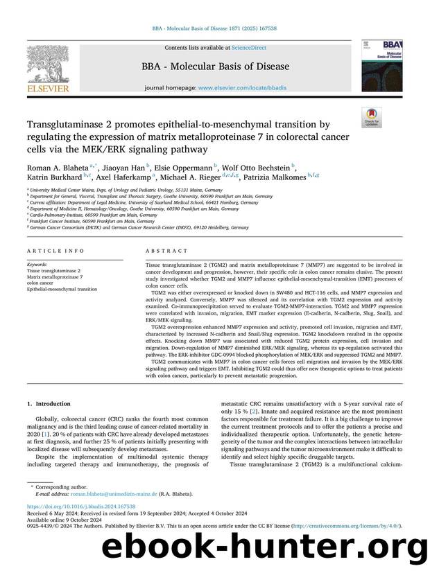 Transglutaminase 2 promotes epithelial-to-mesenchymal transition by regulating the expression of matrix metalloproteinase 7 in colorectal cancer cells via the MEKERK signaling pathway by unknow