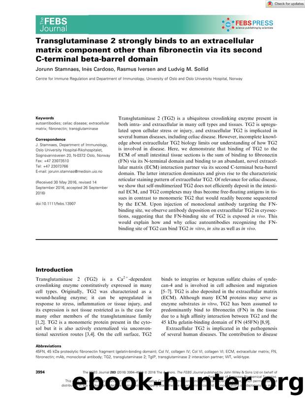 Transglutaminase 2 strongly binds to an extracellular matrix component other than fibronectin via its second Câterminal betaâbarrel domain by Unknown